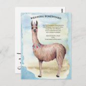 Funny Llama Blue Hochzeit verschoben Datum ändern Postkarte (Vorne/Hinten)