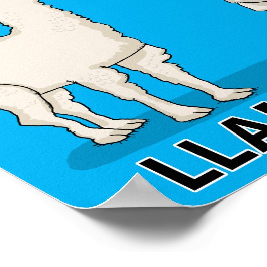 Funny Llama Drama Poster (Ecke)