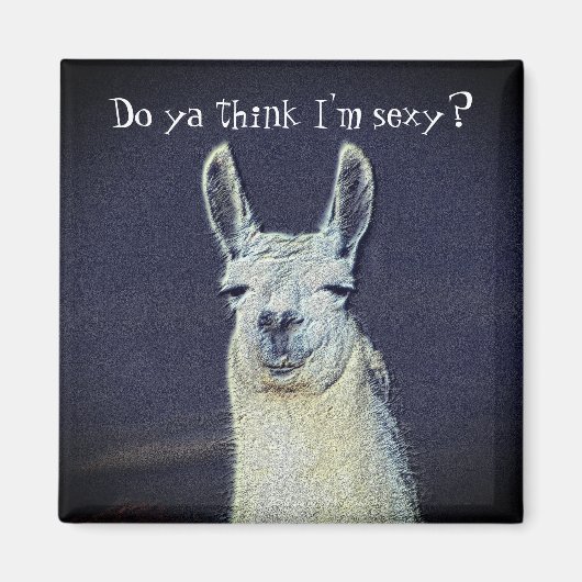 Funny Llama Face Magnet (Vorne)