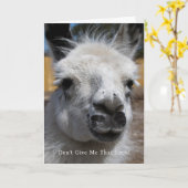 Funny Llama Foto gibt mir nicht, dass ich grüße au Karte (Gelbe Blume)