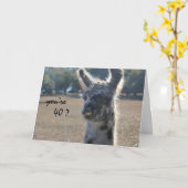 Funny Llama Geburtstag, 40., Über dem Hügel Karte (Gelbe Blume)