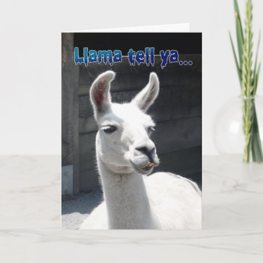 Funny Llama Happy Birthday Grußkarte Karte (Vorderseite)