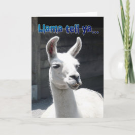 Funny Llama Happy Birthday Grußkarte Karte