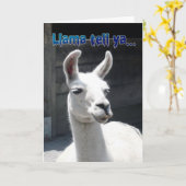 Funny Llama Happy Birthday Grußkarte Karte (Gelbe Blume)