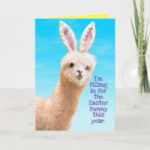 Funny Llama Osterhase - Llama Erzählen
