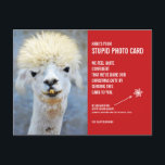 Funny Llama Weihnachts-Weihnachtsfoto-Karte Postka Postkarte<br><div class="desc">Schenken Sie das Lächeln in dieser Urlaubssaison mit diesen unglaublich witzig Weihnachts-Foto-Postkarten! Wir alle wissen, dass wir zu Weihnachten Fotokarten verschicken sollten - es ist schließlich die kulturell akzeptierte Praxis. Nun, diese Karten sagen: "Hier ist deine blöde Fotokarte", und sie enthalten ein Foto eines ziemlich hässlichen Lamas (aber völlig niedlich...</div>