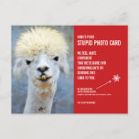 Funny Llama Weihnachts-Weihnachtsfoto-Karte Postka Postkarte<br><div class="desc">Schenken Sie das Lächeln in dieser Urlaubssaison mit diesen unglaublich witzig Weihnachts-Foto-Postkarten! Wir alle wissen, dass wir zu Weihnachten Fotokarten verschicken sollten - es ist schließlich die kulturell akzeptierte Praxis. Nun, diese Karten sagen: "Hier ist deine blöde Fotokarte", und sie enthalten ein Foto eines ziemlich hässlichen Lamas (aber völlig niedlich...</div>