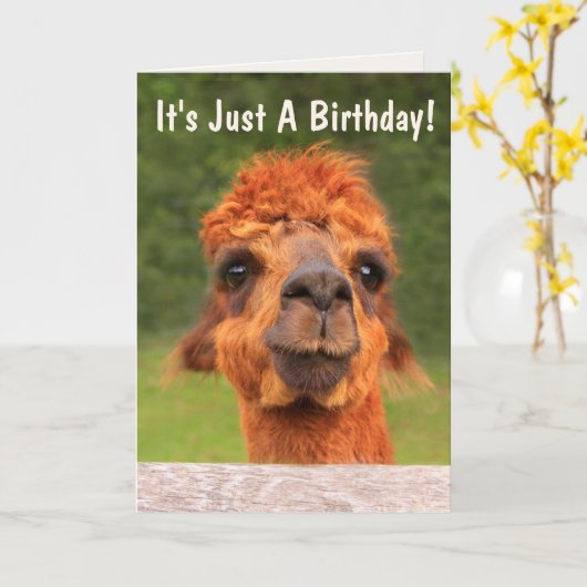 Funny Llama Wise Advice Geburtstag Karte (Gelbe Blume)