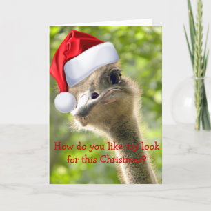 ©Funny Looking Ostrich Santa Custom Feritagskarte Feiertagskarte