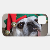 Funny looking pug with tongue hanging out Case-Mate iPhone hülle (Rückseite (Horizontal))