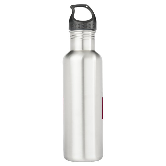 Funny LPN Alert Custom CNA/MD/EMT/PA/RN/RT/NP Edelstahlflasche (Rückseite)