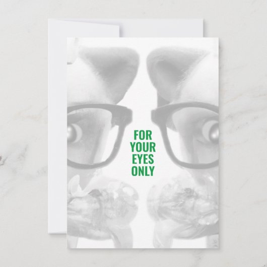 Funny Mad Cat Scientists Purfect Birthday Einladung (Rückseite)