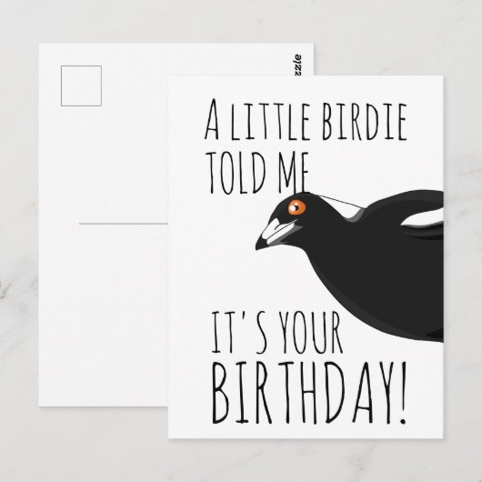 Funny Magpie Postkarte (Vorne/Hinten)
