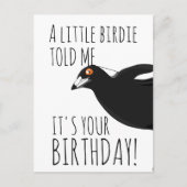 Funny Magpie Postkarte (Vorderseite)
