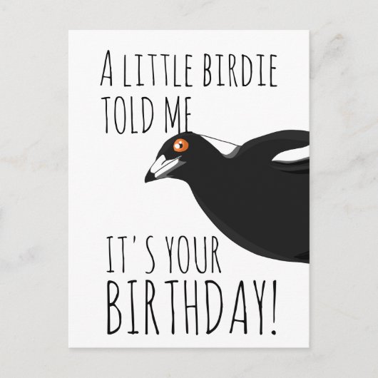 Funny Magpie Postkarte (Vorderseite)