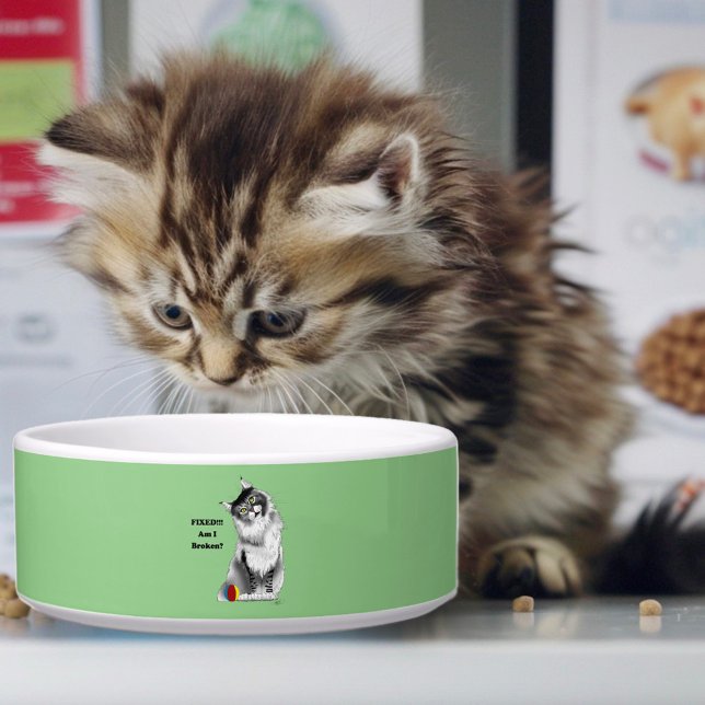 Funny Maine Coon Cat repariert Napf (Von Creator hochgeladen)