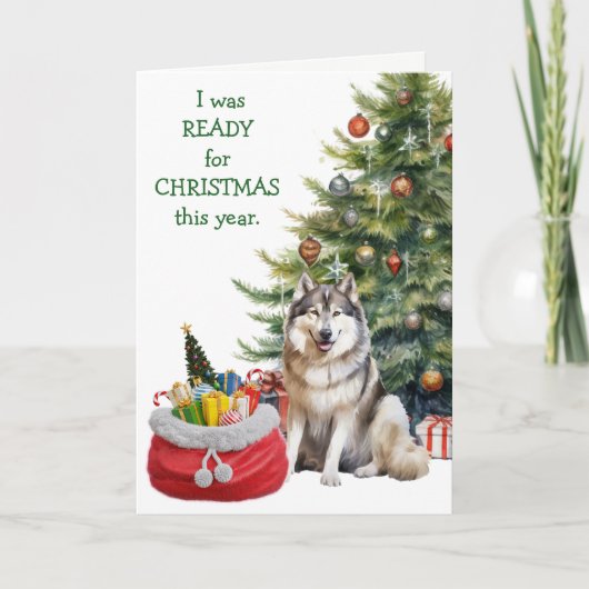 Funny Malamute Dog Weihnachten bereit (Vorderseite)