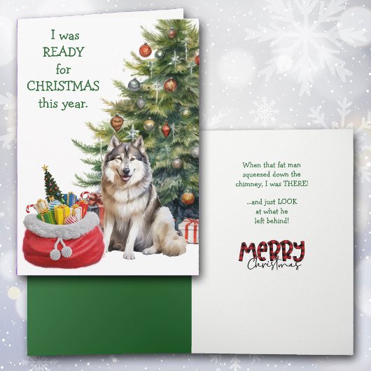 Funny Malamute Dog Weihnachten bereit