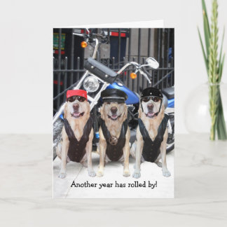 Funny Male Biker Labrador Karte