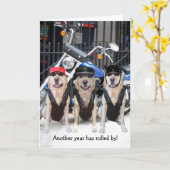 Funny Male Biker Labrador Karte (Gelbe Blume)