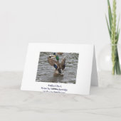 Funny Mallard Duck Birthday Card Karte (Rückseite)