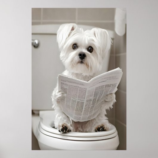 Funny Maltese Dog Bathroom Print, Newspaper Art Poster (Vorne)