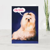 Funny Maltese Hund mit Lisp Belated Birthday Card Karte (Vorderseite)