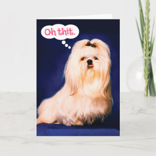 Funny Maltese Hund mit Lisp Belated Birthday Card Karte
