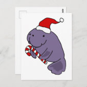 Funny Manatee in Weihnachtsmannmütze Weihnachten C Postkarte (Vorne/Hinten)