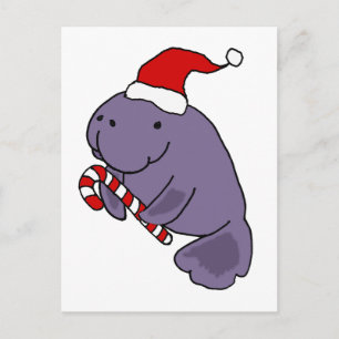 Funny Manatee in Weihnachtsmannmütze Weihnachten C Postkarte