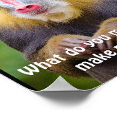 Funny Mandrill Stylisten Poster (Ecke)
