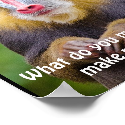 Funny Mandrill Stylisten Poster (Ecke)