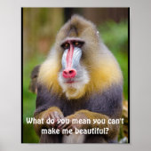 Funny Mandrill Stylisten Poster (Vorne)