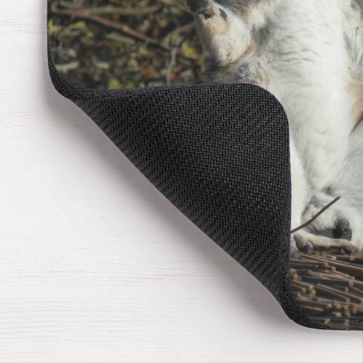 Funny Mannequin Challenge Meme Lemurs Mousepad (Ecke)