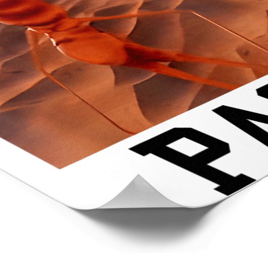 Funny Marcus The Worm Rigatoni Pasta Robert Meme T Poster (Ecke)