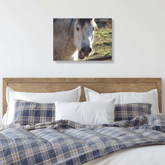 Funny Mare Leinwanddruck (Insitu (Schlafzimmer))
