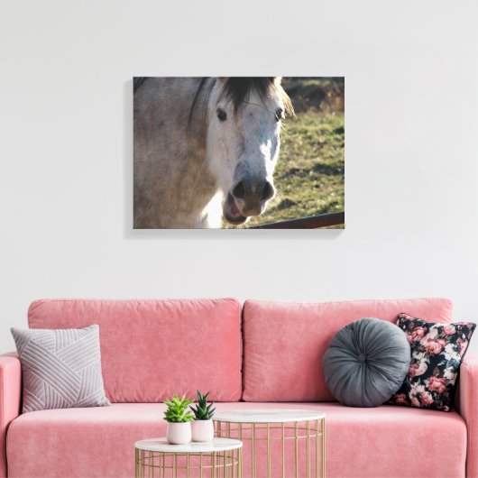 Funny Mare Leinwanddruck (Insitu (Wohnzimmer))