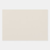 Funny Master Graduation Gift Skeleton Graduate  Geschenkpapier Set (Vorderseite 3)