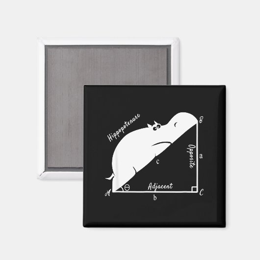 Funny Math Teacher,funny Hiptenuse,geometry Teache Magnet (Vorderseite/Rückseite)