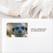 Funny Meerkat Custom Return Address Label (Insitu)