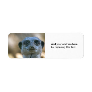 Funny Meerkat Custom Return Address Label