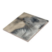 Funny Meerkat Fliese (Seite)