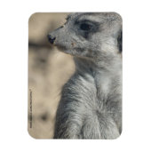 Funny Meerkat Magnet (Vertikal)