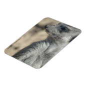 Funny Meerkat Magnet (Linke Seite)