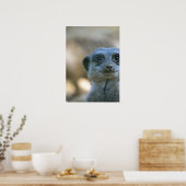 Funny Meerkat Poster (Küche)