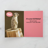 Funny Meerkat: Sieh aus! Du bist ein Meer-Jahr-Ält Karte (Innenseite)