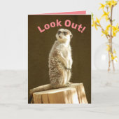 Funny Meerkat: Sieh aus! Du bist ein Meer-Jahr-Ält Karte (Gelbe Blume)