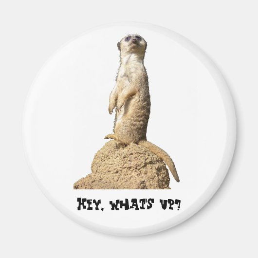 Funny Meerkat Stehend Up Magnet (Vorne)