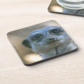 Funny Meerkat Untersetzer (Linke Seite)
