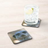 Funny Meerkat Untersetzer (Rechte Seite)